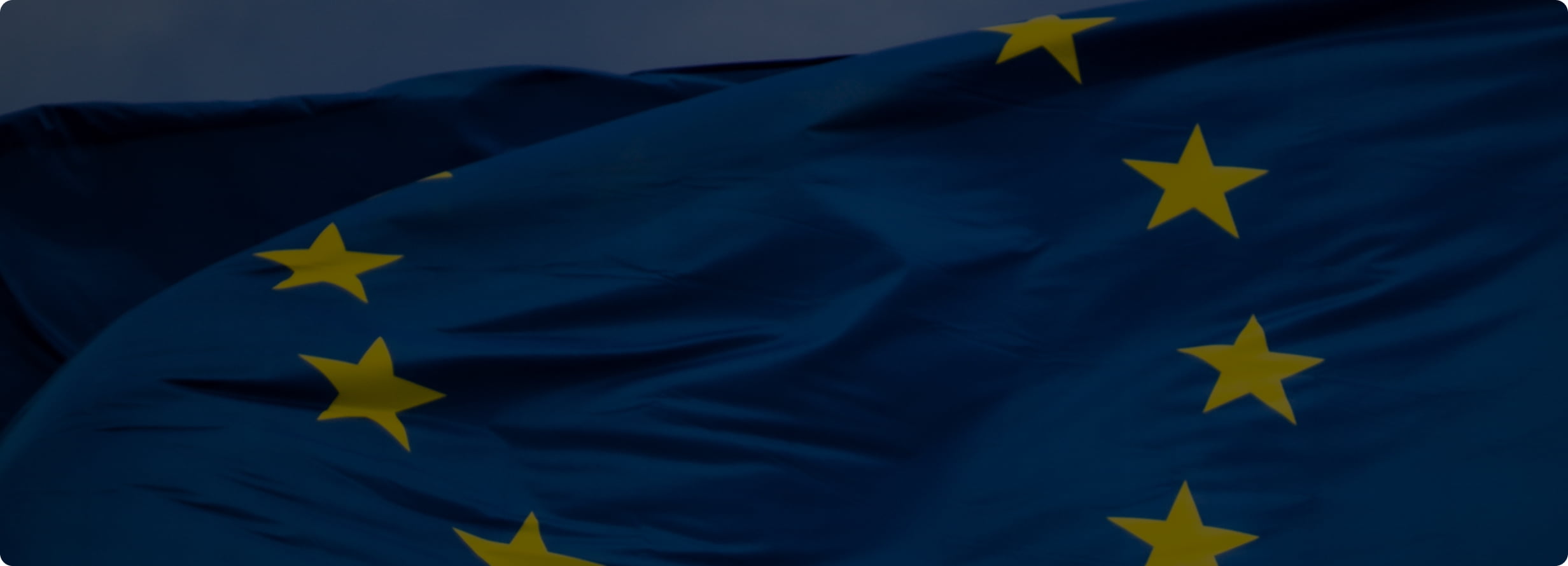 EU Flag